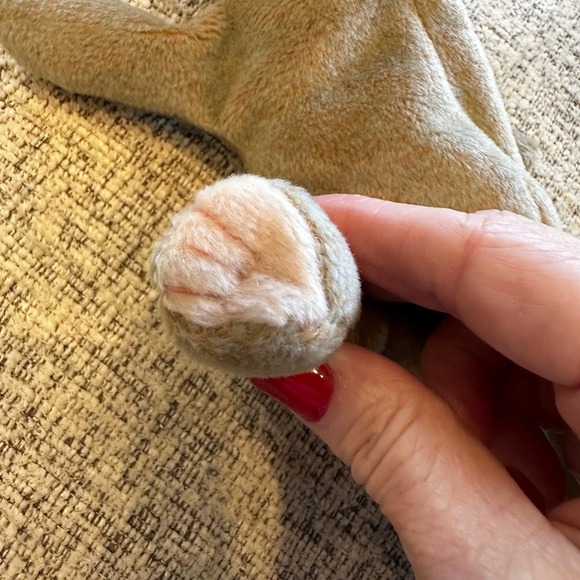 Vintage Ty Beanie Baby Scat the Cat Stuffed Animal Kids Collectible Unisex 1999 - Picture 5 of 9